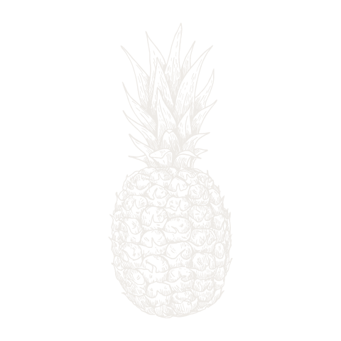 Pineapple  negative